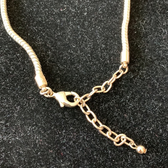 Slide charm Necklace - Picture 3 of 5